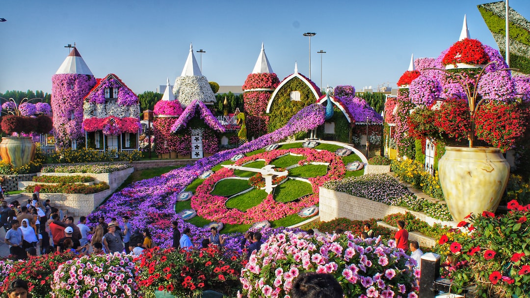 MIRACLE GARDEN